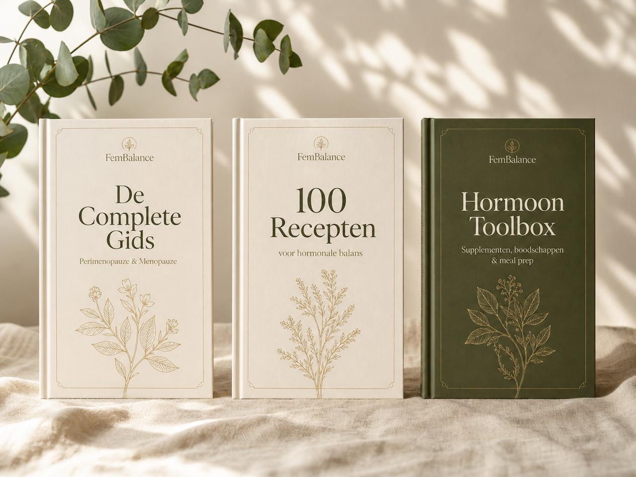 Mockup van de drie FemBalance e-books